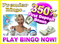 Premier Bingo Banners